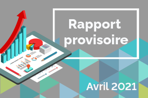 Rapport provisoire